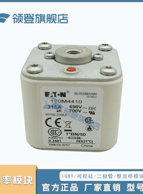 快速熔断器保险丝170M4462 4463 4464 4465 4466 4467 4468 4469