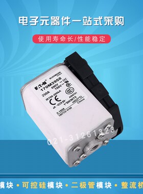 快速熔断器保险丝170M3988 3989 3990 3991 4008 4009 4010 4011