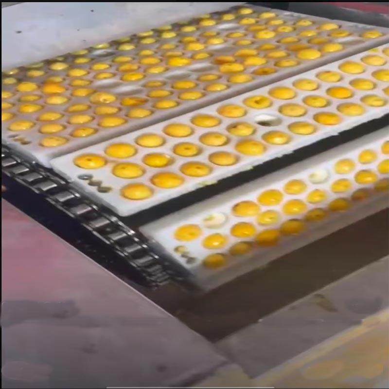 全自动樱桃去核机商用李子杏捅核机青梅多功能脱核机厂家,清洗/食品/商业设备,其他食品加工设备,淘宝优惠券,粉丝福利购,淘宝优惠卷