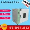 101烘箱电热鼓风干燥箱 大灯工业烤箱实验室试验箱 恒温箱 烘干箱