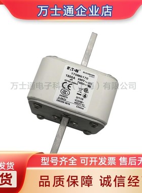 170M6196170M6197170M6198170M6199170M6200170M6201熔断器