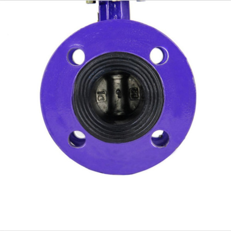 D341X-16Q涡轮法兰蝶阀  DN50-1000  铸钢涡轮法兰艾普森