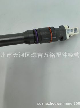 BEBJ1D04001 喷油器总成 DAF 2047600 2047601