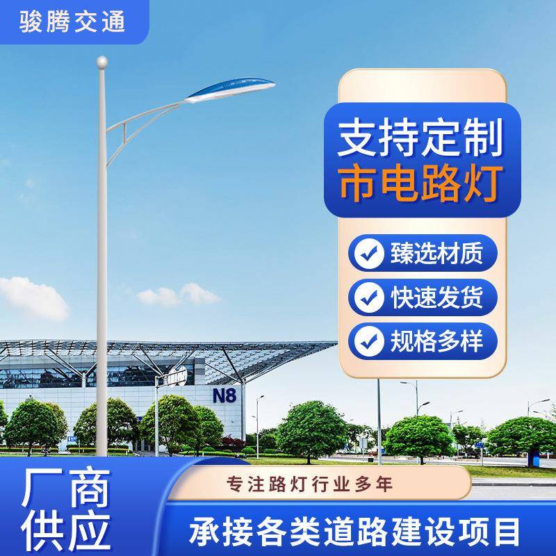 LED市电路灯5米6米7米8米大功率市政工程乡村单双臂道路灯