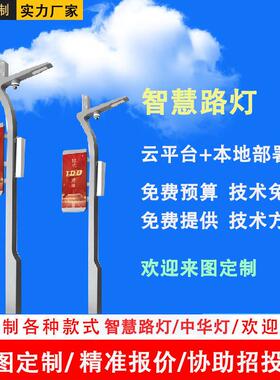 城市物联智慧路灯中华路灯5G监控照明气象监测智能充电桩源头厂家