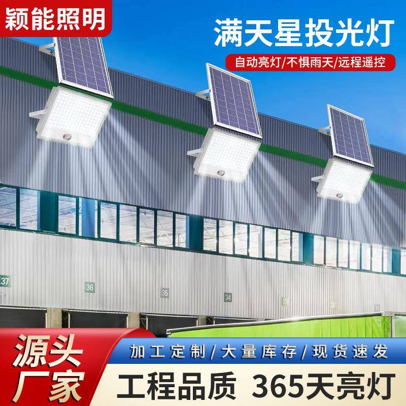 满天星庭院灯户外超亮大功率LED灯具人体感应led投光