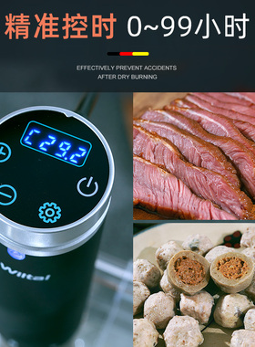德国低温慢煮机烹饪棒料理泵家用小型牛排sous vide商用恒温舒肥