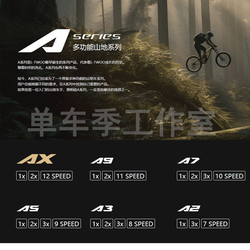 精选LTWOO蓝图变速器登山自行车后拨通用配件789 10 11 12速型号