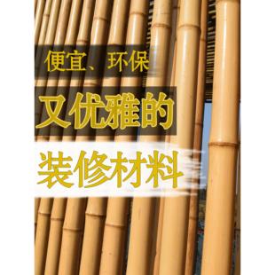 防腐竹竿竹子装饰装修隔断吊顶庭院竹篱笆栅栏围栏墙面黄竹杆竹棍