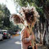 木直天然芦苇花束真花风干花摆件落地拍照装 饰道具ins风造景蒲苇