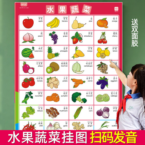 儿童早教挂图支持点读笔发音