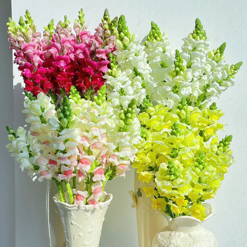 切花金鱼草种子3000粒9.8元包邮