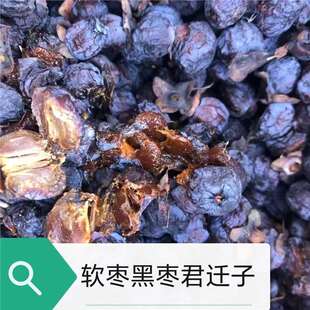 全新货黑枣种子软枣种子柿子种子君迁子种子产地各类果树种子