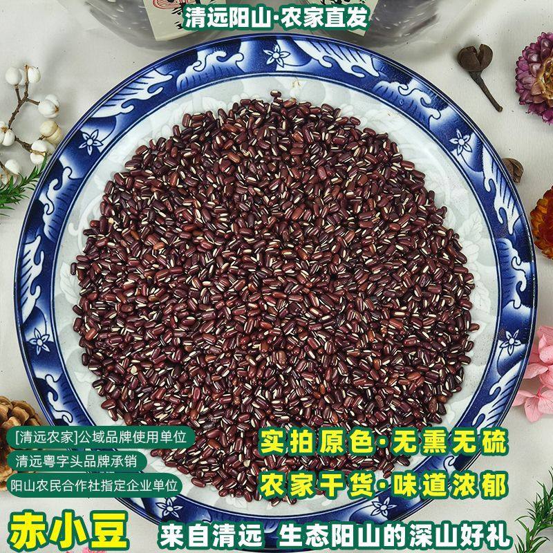 清远阳山新赤小豆粤北山区农家长粒红赤豆红豆薏米粥五谷杂粗粮