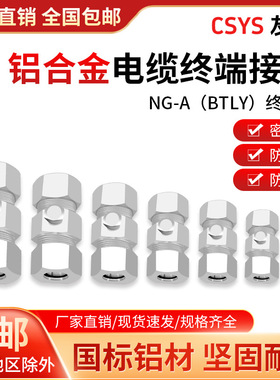 BTLY平光铝护套矿物质绝缘电缆终端头NG-A柔性矿物专用接地铝接头