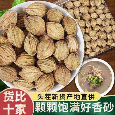 香砂仁500g包邮 金砂仁川沙仁粉卤水炖肉麻辣烫火锅香料调料大全