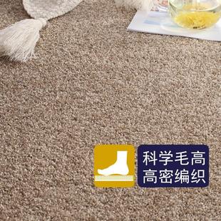 纯色房间店铺入户短绒茶几地毯客厅卧室大块面积满铺家用定制尺寸