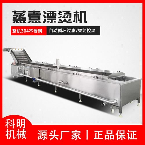 水果漂烫机提升式山楂罐头漂烫蒸煮设备橙子清洗漂烫冷却流水线