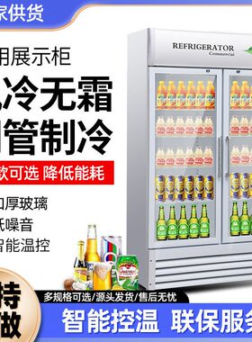 商用饮料保鲜柜立式单门双门冰吧冷藏饮料柜展示柜冷藏柜啤酒柜