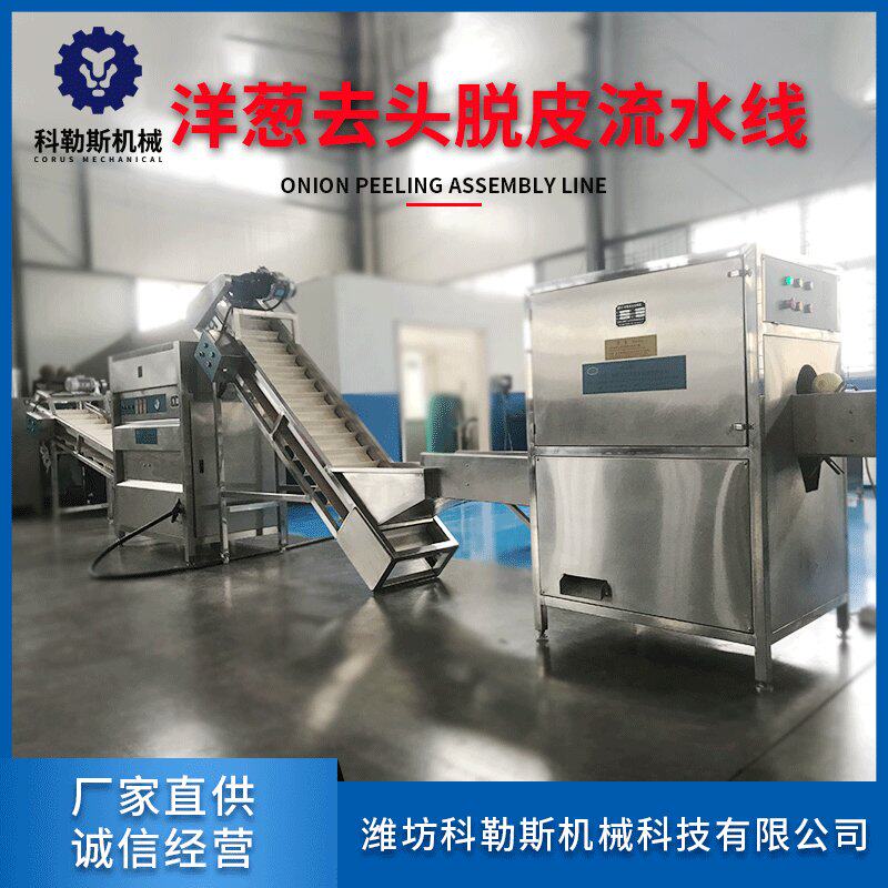 洋葱切根脱皮流水线 厂家直发柠檬切两头设备 洋葱脱皮机