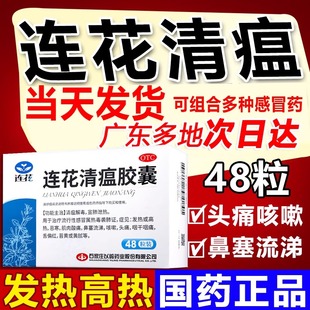 连花清瘟胶囊48粒莲花非颗粒冲剂流行性感冒甲流头痛咳嗽正品以岭