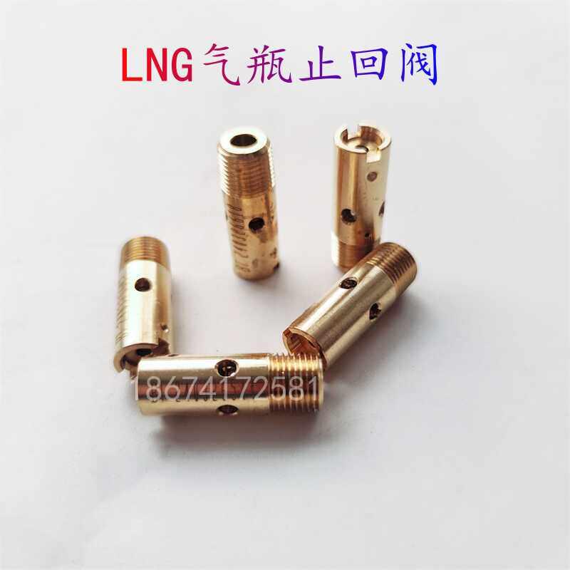 LNG天然气气瓶止回阀圣达因致远德森安瑞科奥扬气罐止回阀单向阀