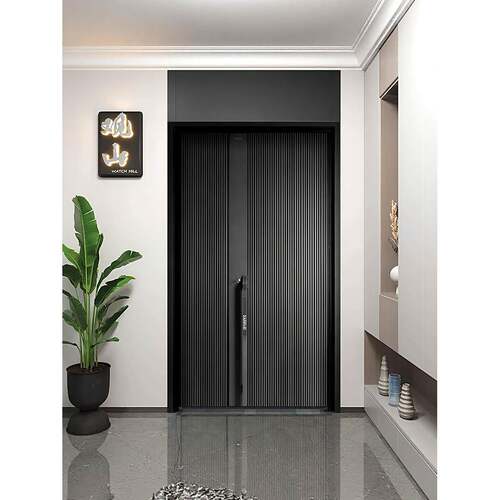 入户门防盗门子母门别墅大门农村自建房甲级门进户精雕铸铝门定制