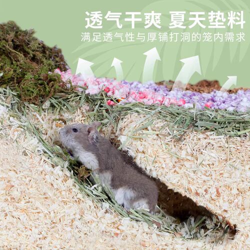仓鼠的木屑垫料四季通用白杨刨花金丝熊纸棉除臭无尘刨挖造景夏天