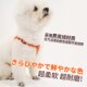 AZERIA猫咪狗狗牵引绳小型犬工字型胸背狗可调节宠物遛狗绳遛猫绳
