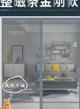 四季通用蚊帘门高端静音蚊帐客厅防蚊门帘纱门强磁吸磁铁大门F