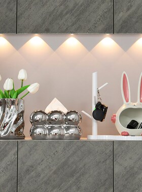 玄关花瓶装饰摆件电视柜桌面收纳工艺品酒柜装饰品乔迁新居礼品