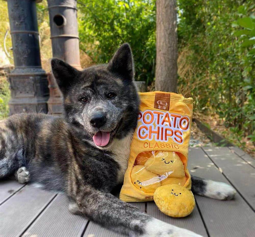 超萌的薯片袋子狗狗玩具毛绒发声耐咬磨牙宠物自嗨解闷藏食玩具