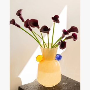 创意高级感彩色双耳玻璃花瓶酒店软装家居台面水培插花装饰艺术瓶