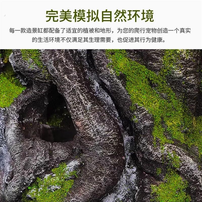 爬宠饲养箱守宫睫角蜥蜴蜘蛛角蛙蛇蝎水陆两栖生态造景雨林玻璃缸