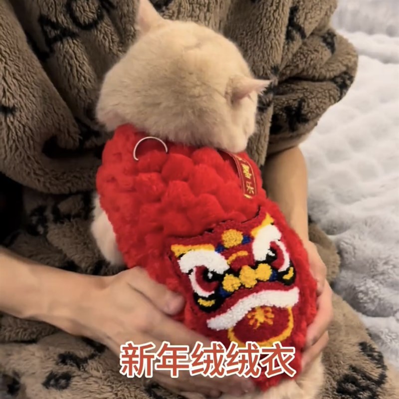 猫咪过年衣服红色喜庆布偶蓝猫金渐层秋冬保暖绒衣宠物狗狗新年装