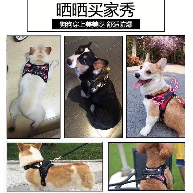 狗狗牵引绳背心式遛狗绳子泰迪法斗柯基中型小型犬宠物用品胸背带