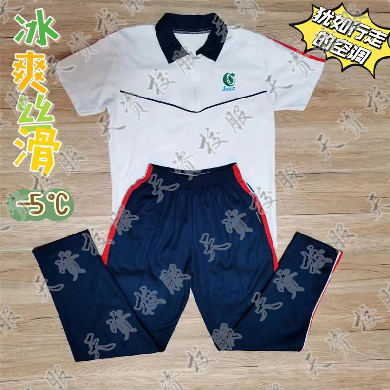 天资校服 潮州潮安松昌中学古巷彩塘东凤颜锡祺学生夏服