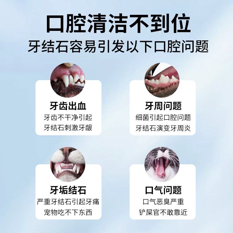 Yegbong宠物牙刷笔猫咪口腔清洁除口臭去结石狗狗牙结石去除神器,宠物/宠物食品及用品,猫狗牙膏/牙具,淘宝优惠券,粉丝福利购,淘宝优惠卷