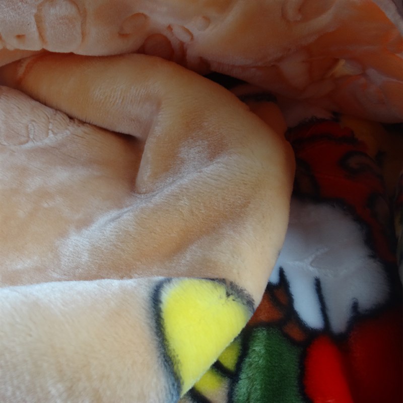 儿童婴儿云毯双层加厚宝宝盖毯新生儿抱毯秋冬季小毯子珊瑚绒毛毯