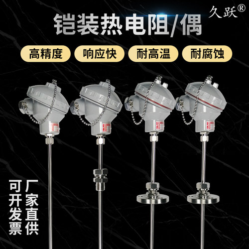铠装热电阻防爆WZPK-PT100温度传感器PT1000型WZPK2双支铂电阻A级