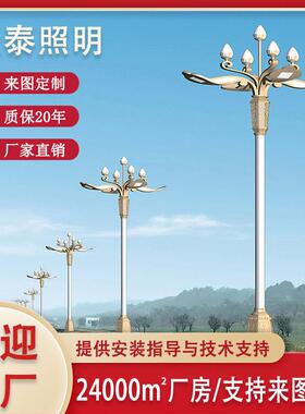 6/7/8/10/12米8叉9火LED中华灯厂家直销户外市政道路照明景观灯