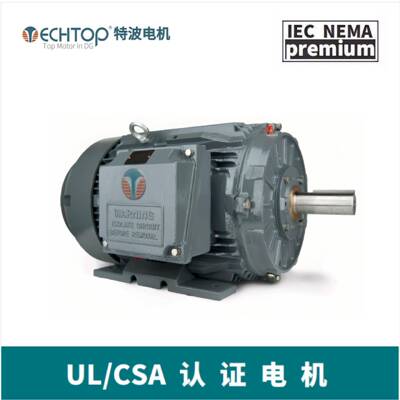 TECHTOP矿山破碎机电机超大转矩耐超载加大轴承NEMA标准