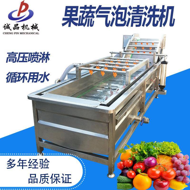 山楂韭菜气泡清洗机夏威夷果清洗机设备大型果蔬气泡清洗机设备