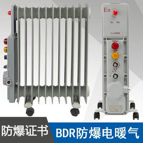电暖气BDN58-1500W2000W2500W3W防爆电热油汀ExdbIIBT4