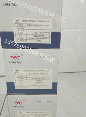 WP-C704-02-09-2H2L/WP-C704-01-23-2H2L数显仪温控仪液位表压力