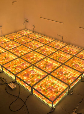 High Quality Glass Panel Mirror LED Dancing Floor Light