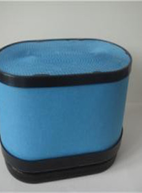 厂家现货供应 空气滤清器P604273  88944151 AF26159 15286805