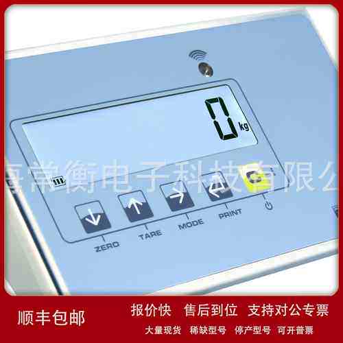 意大利DINIARGEO 狄纳乔 DFWLI DFWLKI 不锈钢多功能称重显示器议