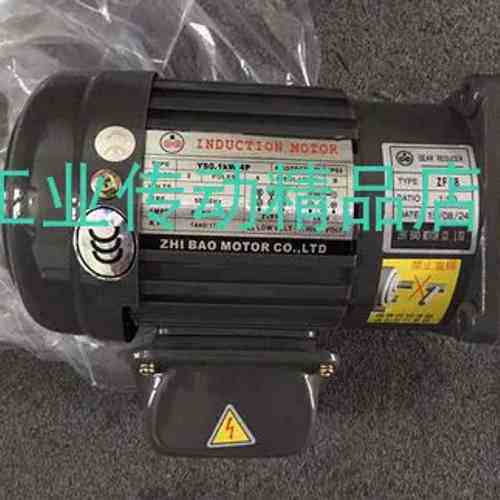 ZF22C  1:20 ZHI BAO MOTOR CO.，LTD电机  马达  YY0.3KW-4P