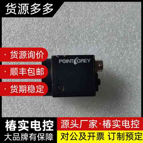 #POINTGREY灰点#工业相机WS-D13M2-CS 实询价